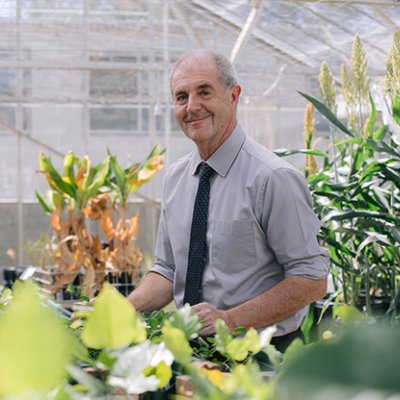 David Craik standing in a greenhouse, surrounded by plants
